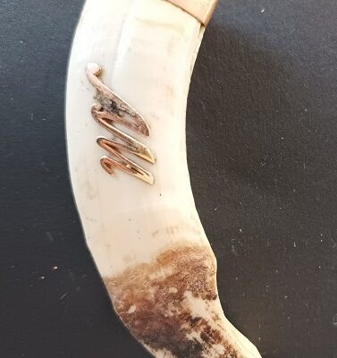 Dente de javali rebordado em ouro