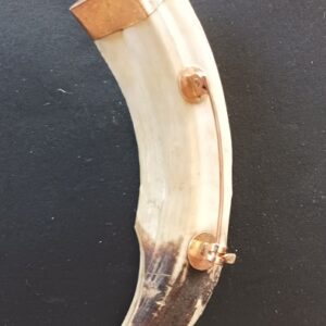 Dente de javali rebordado em ouro